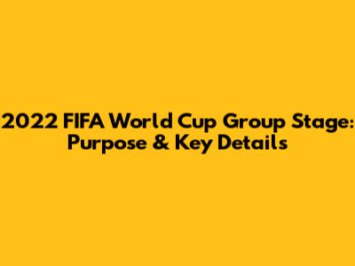 2022 FIFA World Cup Group Stage: Purpose & Key Details