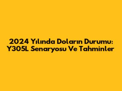2024 Yılında Doların Durumu: Y305L Senaryosu Ve Tahminler