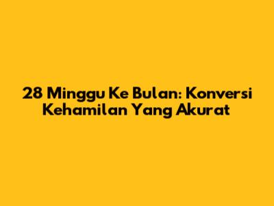 28 Minggu Ke Bulan: Konversi Kehamilan Yang Akurat