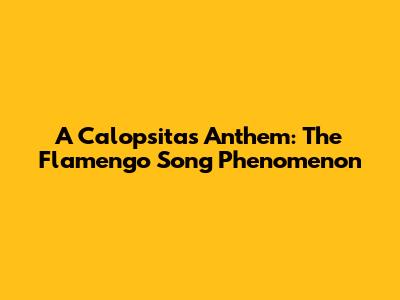 A Calopsita's Anthem: The Flamengo Song Phenomenon