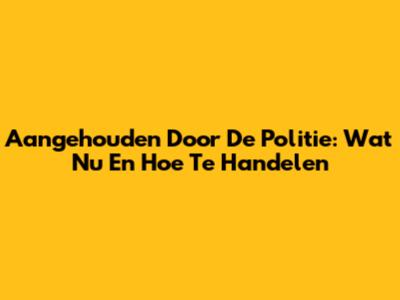 Aangehouden Door De Politie: Wat Nu En Hoe Te Handelen