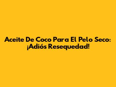 Aceite De Coco Para El Pelo Seco: ¡Adiós Resequedad!