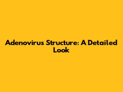 Adenovirus Structure: A Detailed Look