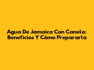 Agua De Jamaica Con Canela: Beneficios Y Cómo Prepararla