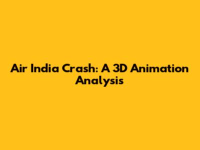 Air India Crash: A 3D Animation Analysis