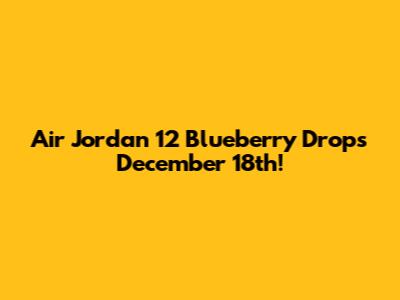 Air Jordan 12 "Blueberry" Drops December 18th!