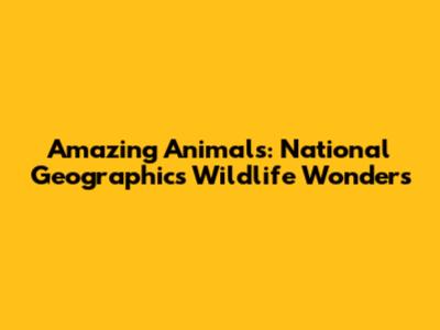 Amazing Animals: National Geographic's Wildlife Wonders