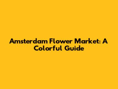 Amsterdam Flower Market: A Colorful Guide