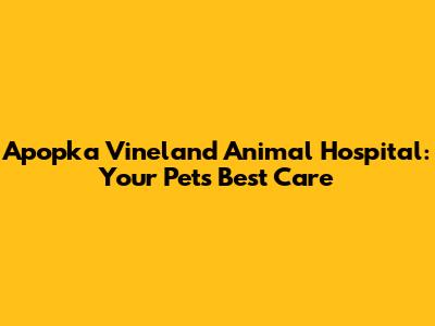 Apopka Vineland Animal Hospital: Your Pet's Best Care