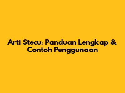 Arti Stecu: Panduan Lengkap & Contoh Penggunaan
