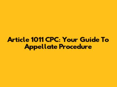 Article 1011 CPC: Your Guide To Appellate Procedure