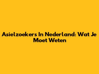 Asielzoekers In Nederland: Wat Je Moet Weten