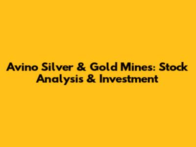 Avino Silver & Gold Mines: Stock Analysis & Investment