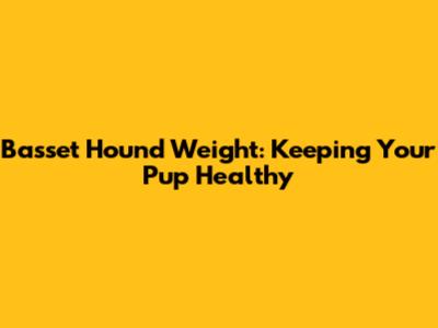Basset Hound Weight: Keeping Your Pup Healthy