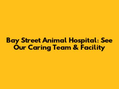Bay Street Animal Hospital: See Our Caring Team & Facility