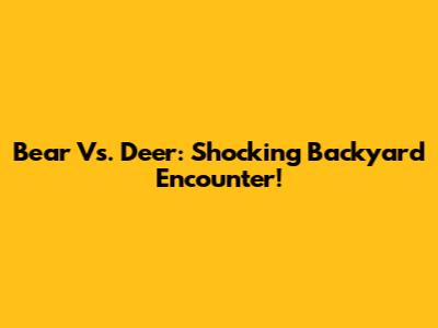 Bear Vs. Deer: Shocking Backyard Encounter!