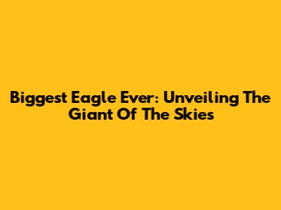 Biggest Eagle Ever: Unveiling The Giant Of The Skies