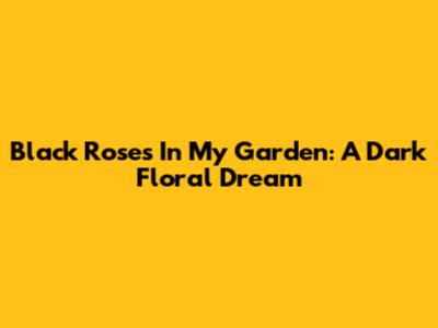 Black Roses In My Garden: A Dark Floral Dream