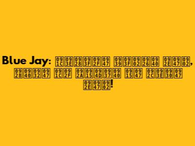 Blue Jay: जानिये हिंदी में, नीले जय पक्षी के बारे में!