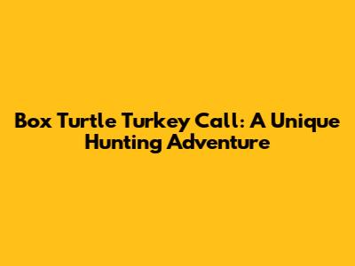 Box Turtle Turkey Call: A Unique Hunting Adventure