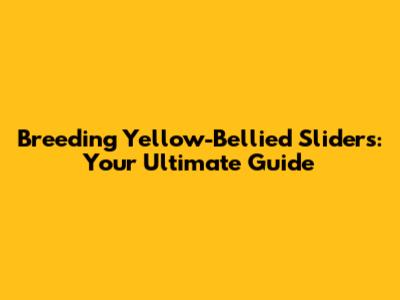 Breeding Yellow-Bellied Sliders: Your Ultimate Guide