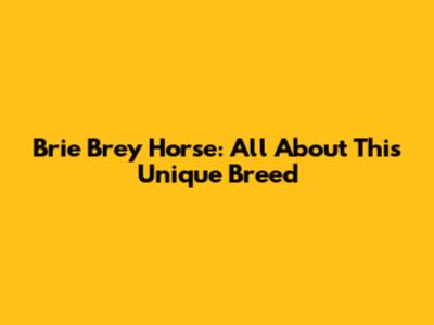 Brie Brey Horse: All About This Unique Breed