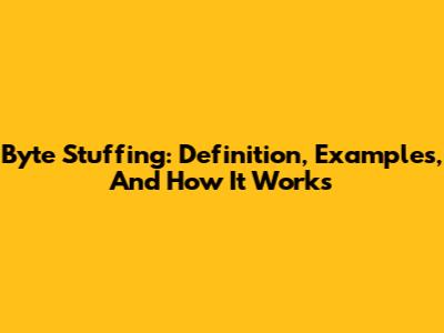 Byte Stuffing: Definition, Examples, And How It Works