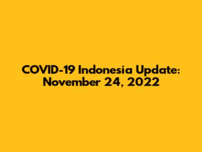 COVID-19 Indonesia Update: November 24, 2022