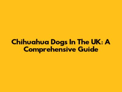 Chihuahua Dogs In The UK: A Comprehensive Guide