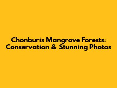 Chonburi's Mangrove Forests: Conservation & Stunning Photos
