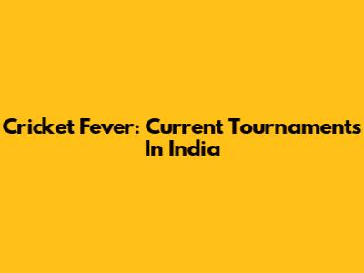 Cricket Fever: Current Tournaments In India