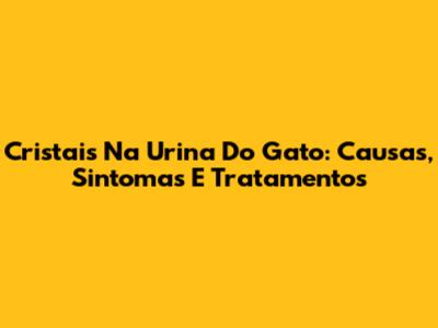 Cristais Na Urina Do Gato: Causas, Sintomas E Tratamentos