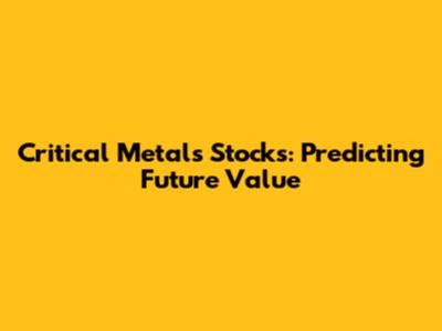 Critical Metals Stocks: Predicting Future Value