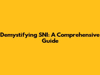 Demystifying SNI: A Comprehensive Guide