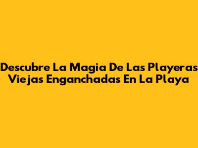 Descubre La Magia De Las Playeras Viejas Enganchadas En La Playa