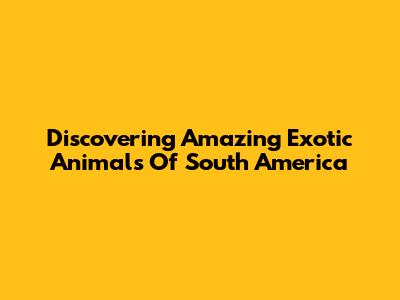 Discovering Amazing Exotic Animals Of South America