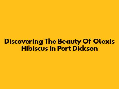 Discovering The Beauty Of Olexis Hibiscus In Port Dickson