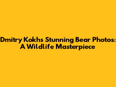 Dmitry Kokh's Stunning Bear Photos: A Wildlife Masterpiece