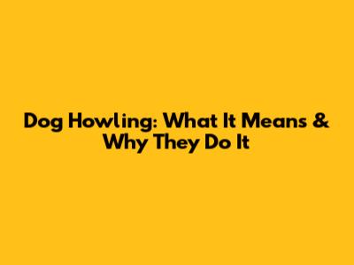 Dog Howling: What It Means & Why They Do It