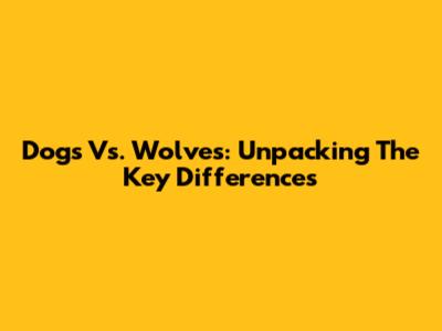 Dogs Vs. Wolves: Unpacking The Key Differences