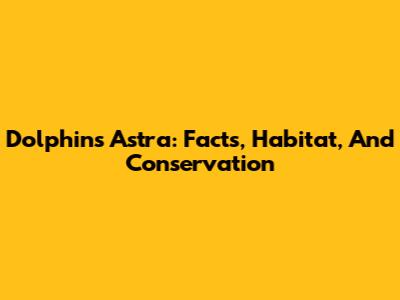 Dolphins Astra: Facts, Habitat, And Conservation