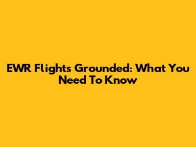 EWR Flights Grounded: What You Need To Know