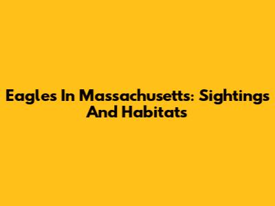 Eagles In Massachusetts: Sightings And Habitats