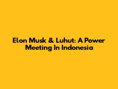 Elon Musk & Luhut: A Power Meeting In Indonesia