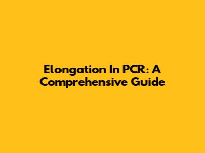 Elongation In PCR: A Comprehensive Guide