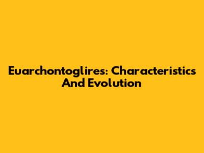 Euarchontoglires: Characteristics And Evolution
