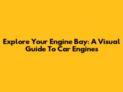 Explore Your Engine Bay: A Visual Guide To Car Engines