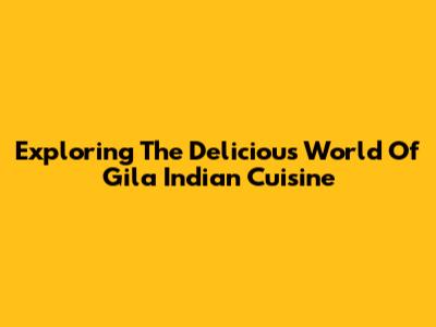 Exploring The Delicious World Of Gila Indian Cuisine