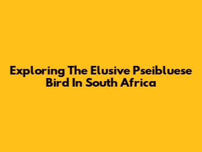 Exploring The Elusive Pseibluese Bird In South Africa