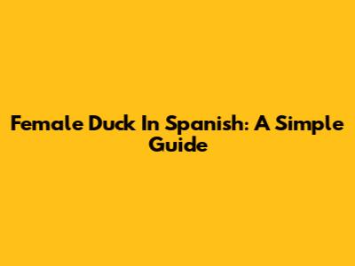 Female Duck In Spanish: A Simple Guide